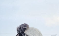 超级舞者日常活动